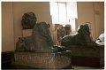 Cairo Egyptian Museum (25)